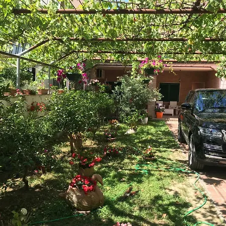 Eldo Paradise Appartement *